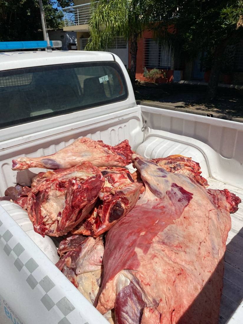 DECOMISO DE CARNE I