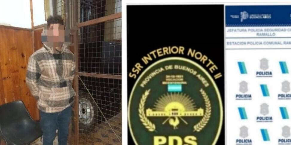 El detenido tiene 31 años y fue acusado de daño.