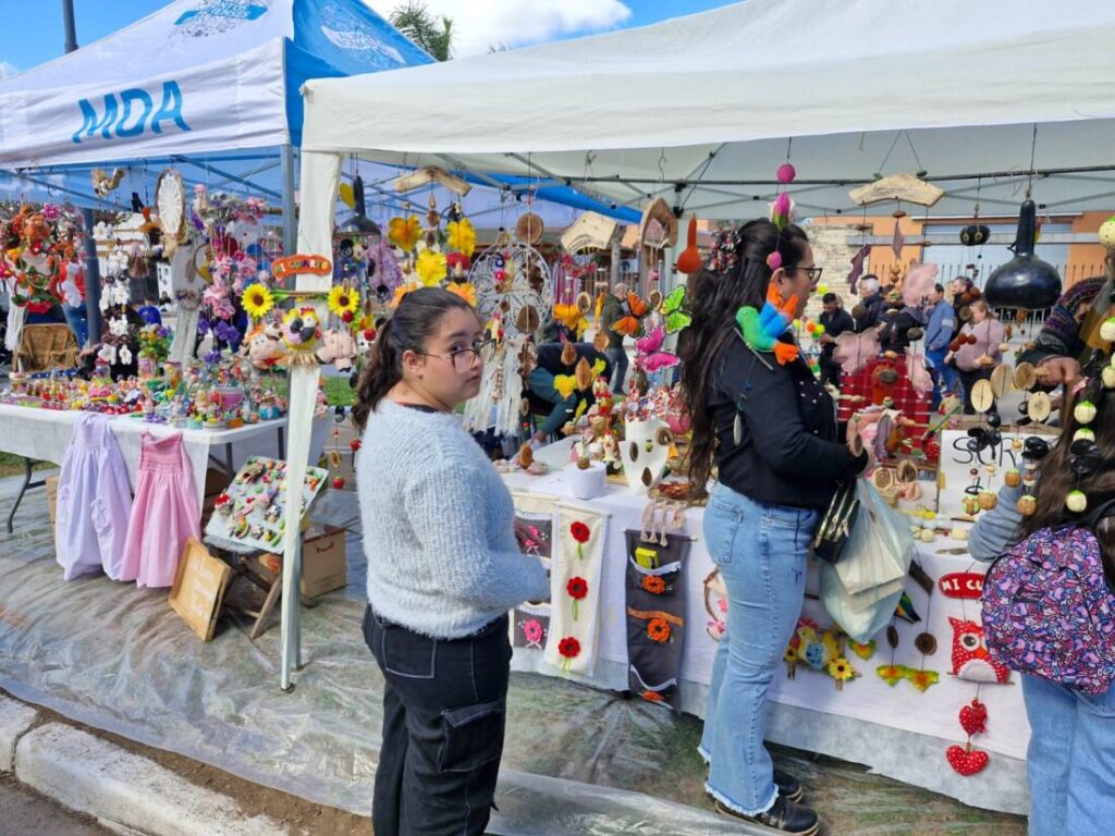 Microemprendedores en Pérez Millán. 