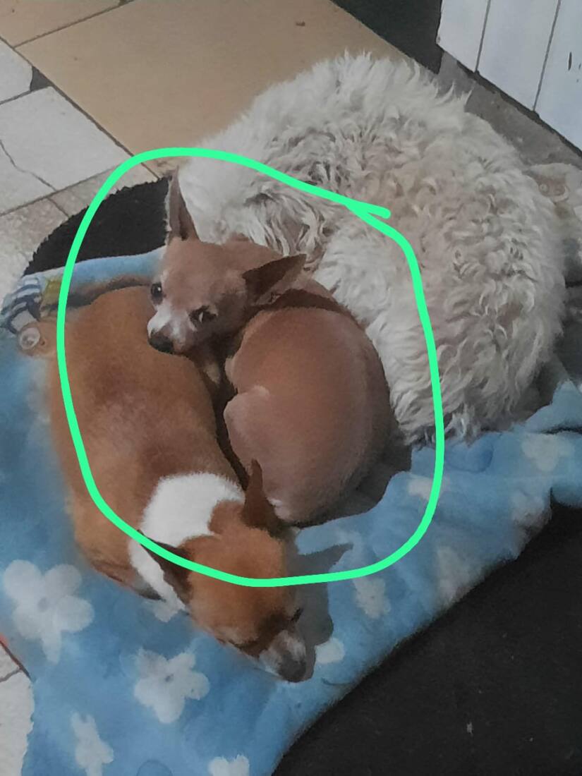 WhatsApp Image 2024-08-28 at 10.28.09