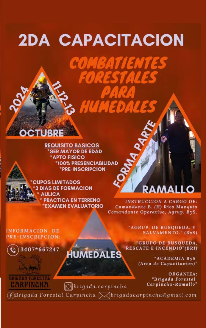 WhatsApp Image 2024-10-04 at 06.39.43