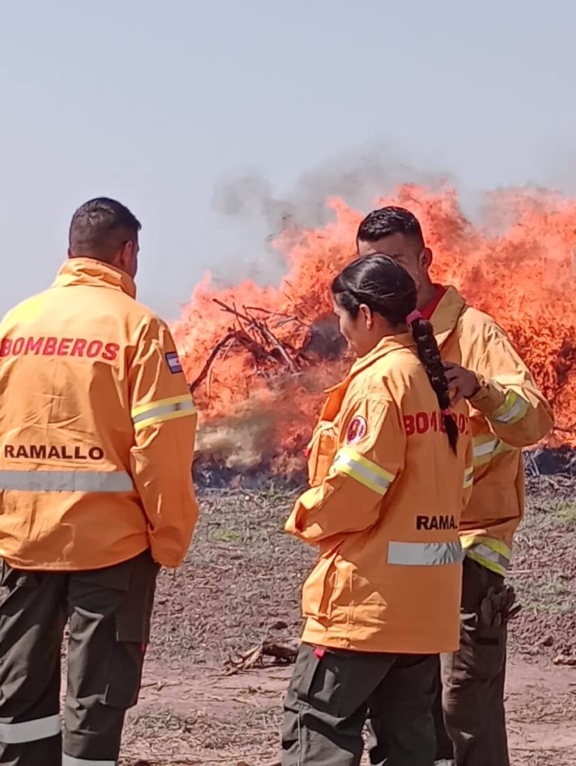 WhatsApp Image 2024-10-08 at 15.13.57