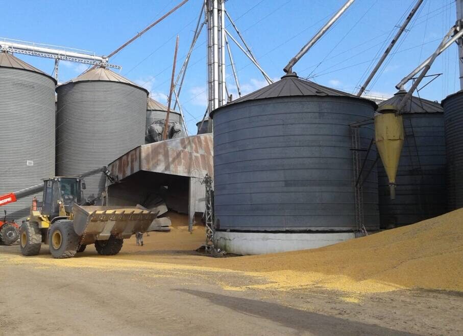 WhatsApp Image 2024-11-08 at 16.16.55