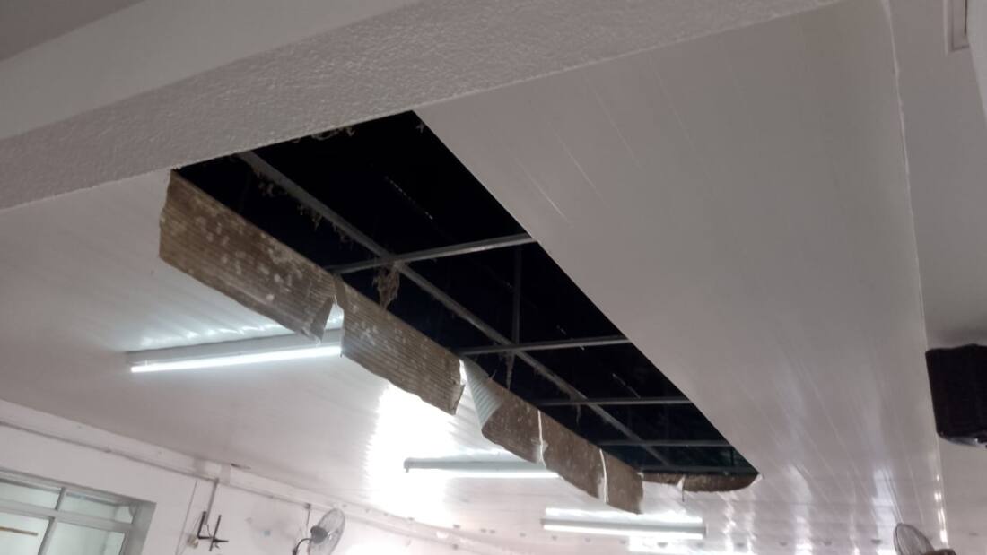 WhatsApp Image 2024-12-04 at 16.14.11