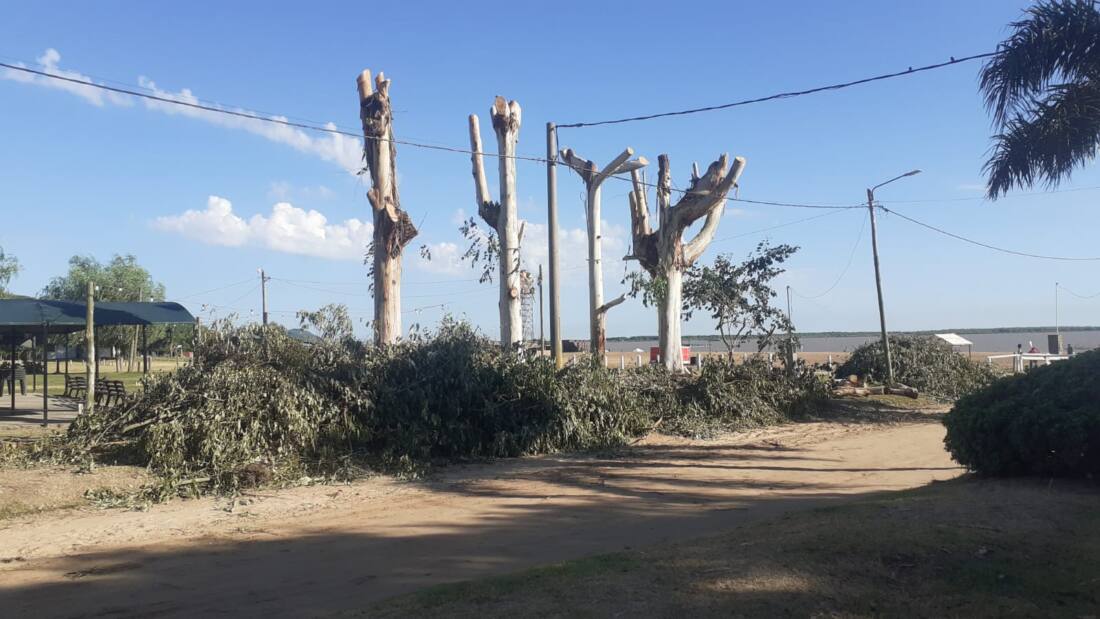 WhatsApp Image 2025-01-08 at 08.20.40