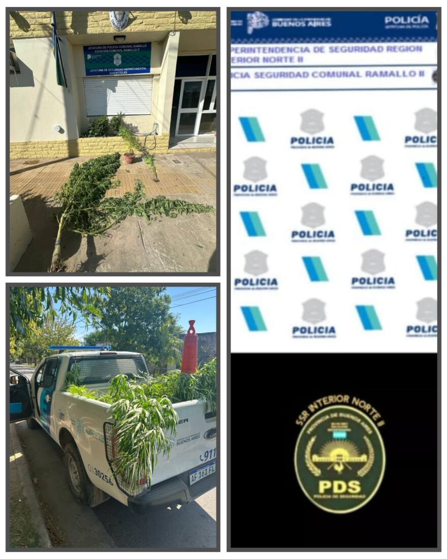 04cb2ed9-9bb5-4670-ad64-65a2fc350ede