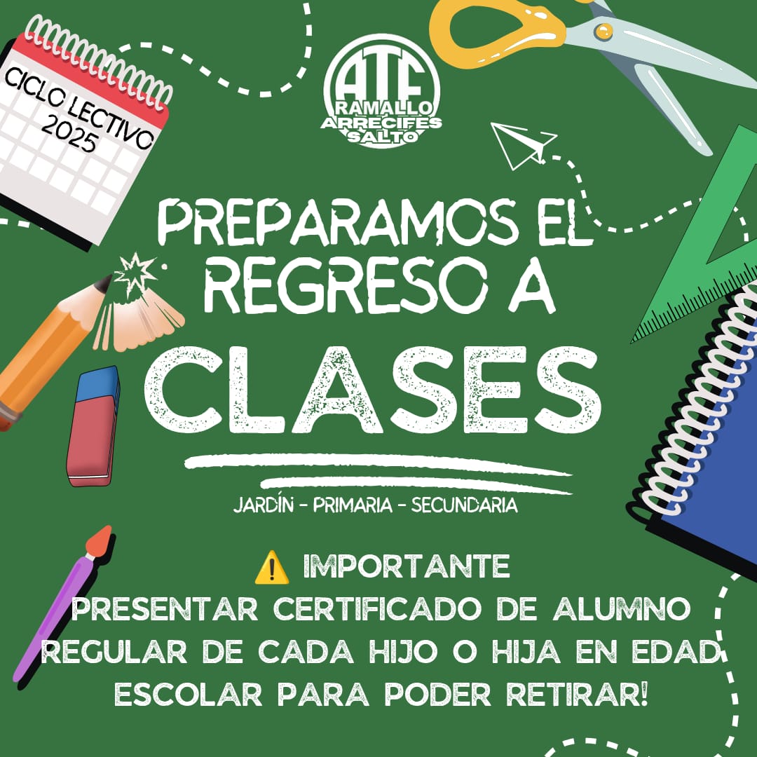 WhatsApp Image 2025-02-12 at 19.42.34