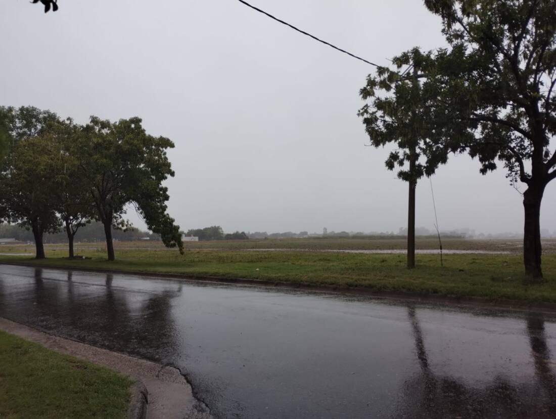 WhatsApp Image 2025-02-25 at 13.42.14