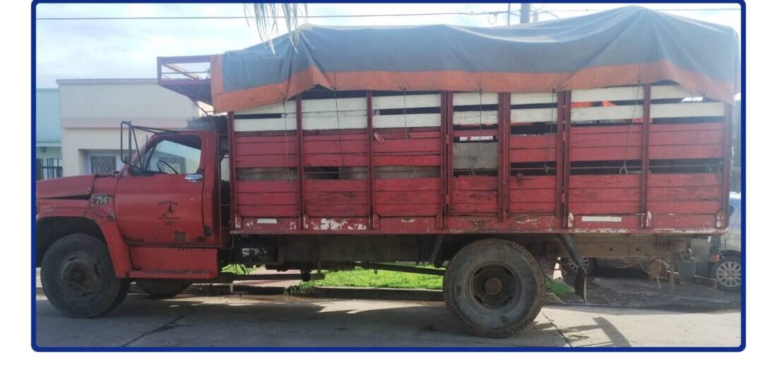 WhatsApp Image 2025-02-27 at 14.22.07