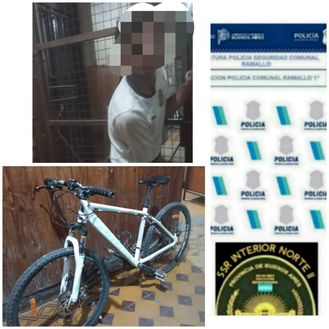 WhatsApp Image 2025-03-08 at 12.42.31