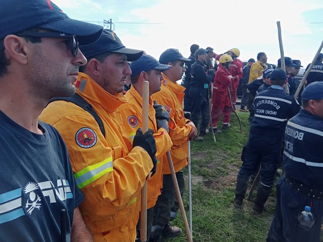 WhatsApp Image 2025-03-16 at 16.58.24