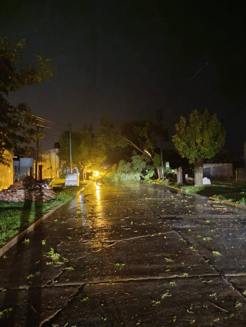 WhatsApp Image 2025-03-27 at 20.08.23