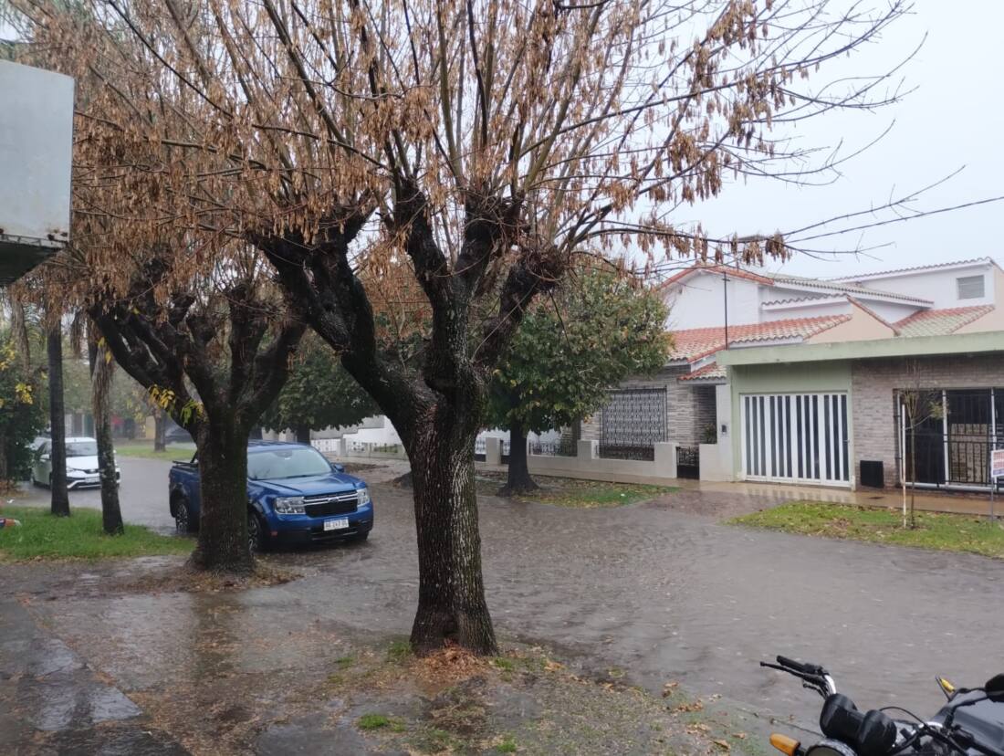 WhatsApp Image 2025-05-16 at 20.38.54