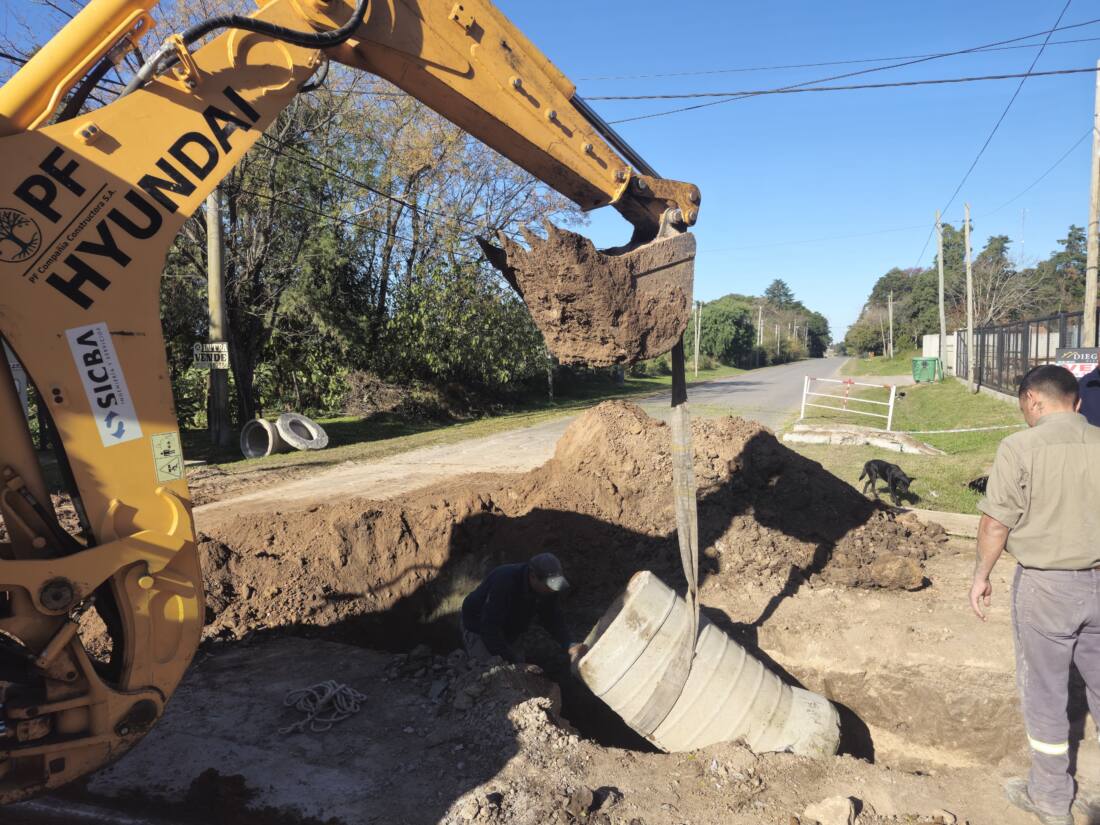 WhatsApp Image 2025-06-12 at 16.27.43 (1)