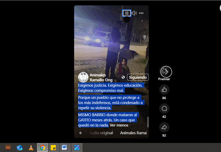 Captura de pantalla (303)