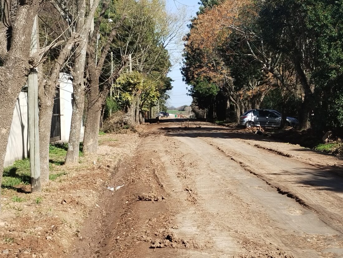 IMG_20250724_120845619