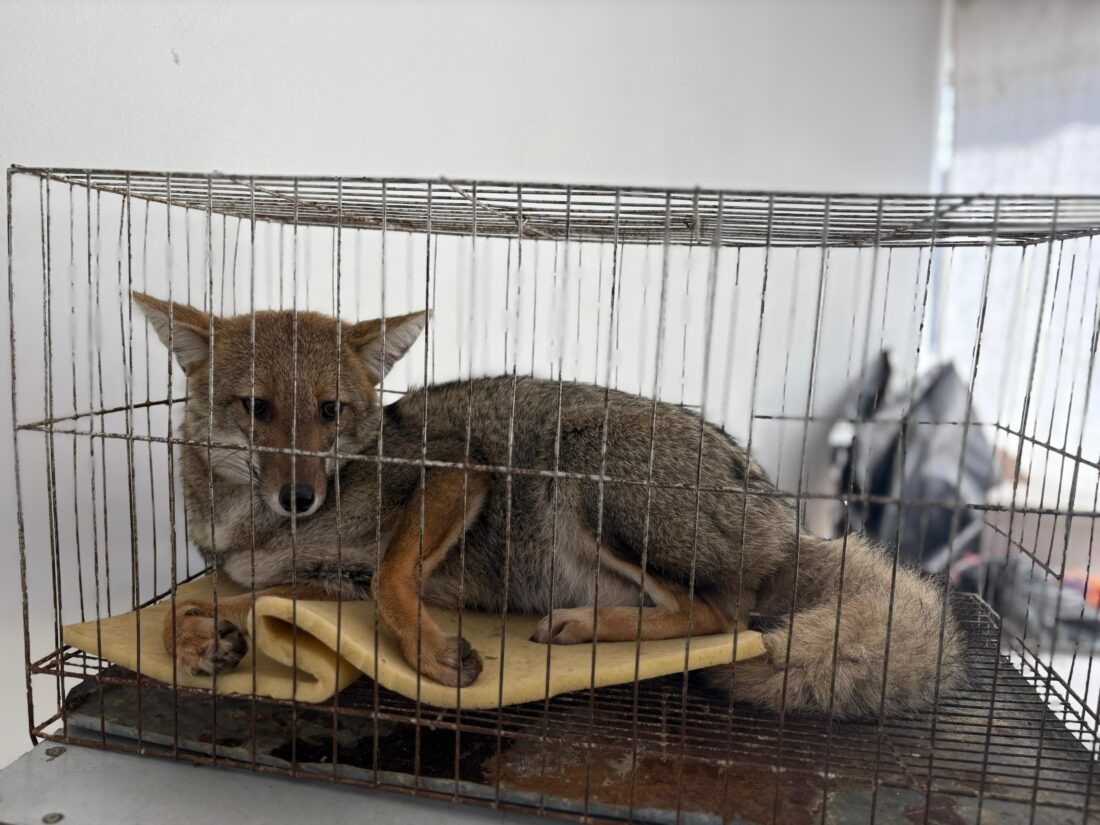 WhatsApp Image 2025-07-31 at 18.50.06