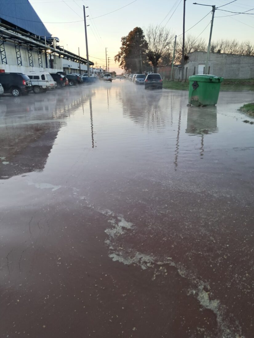 WhatsApp Image 2025-08-07 at 17.16.58