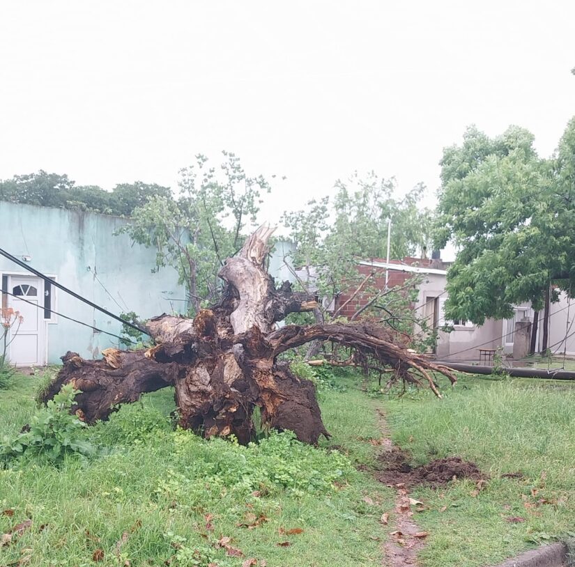 WhatsApp Image 2025-10-24 at 12.07.14