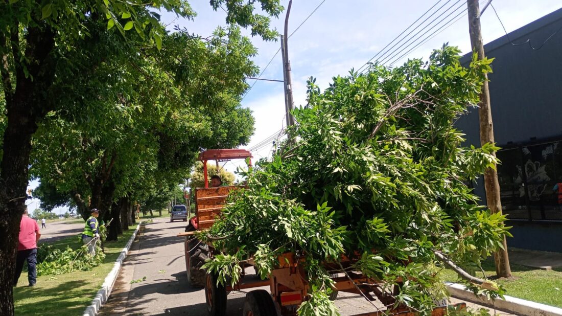 WhatsApp Image 2025-11-16 at 10.59.02