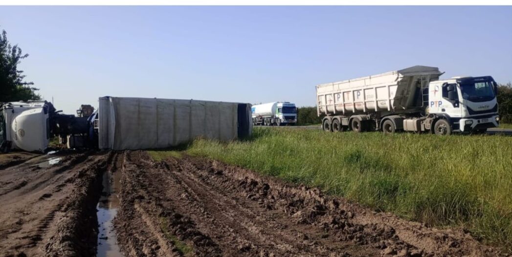 WhatsApp Image 2025-11-18 at 18.17.17