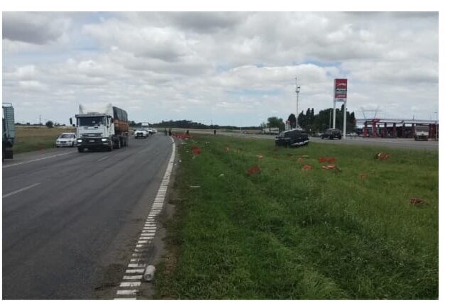 WhatsApp Image 2025-11-23 at 19.47.48