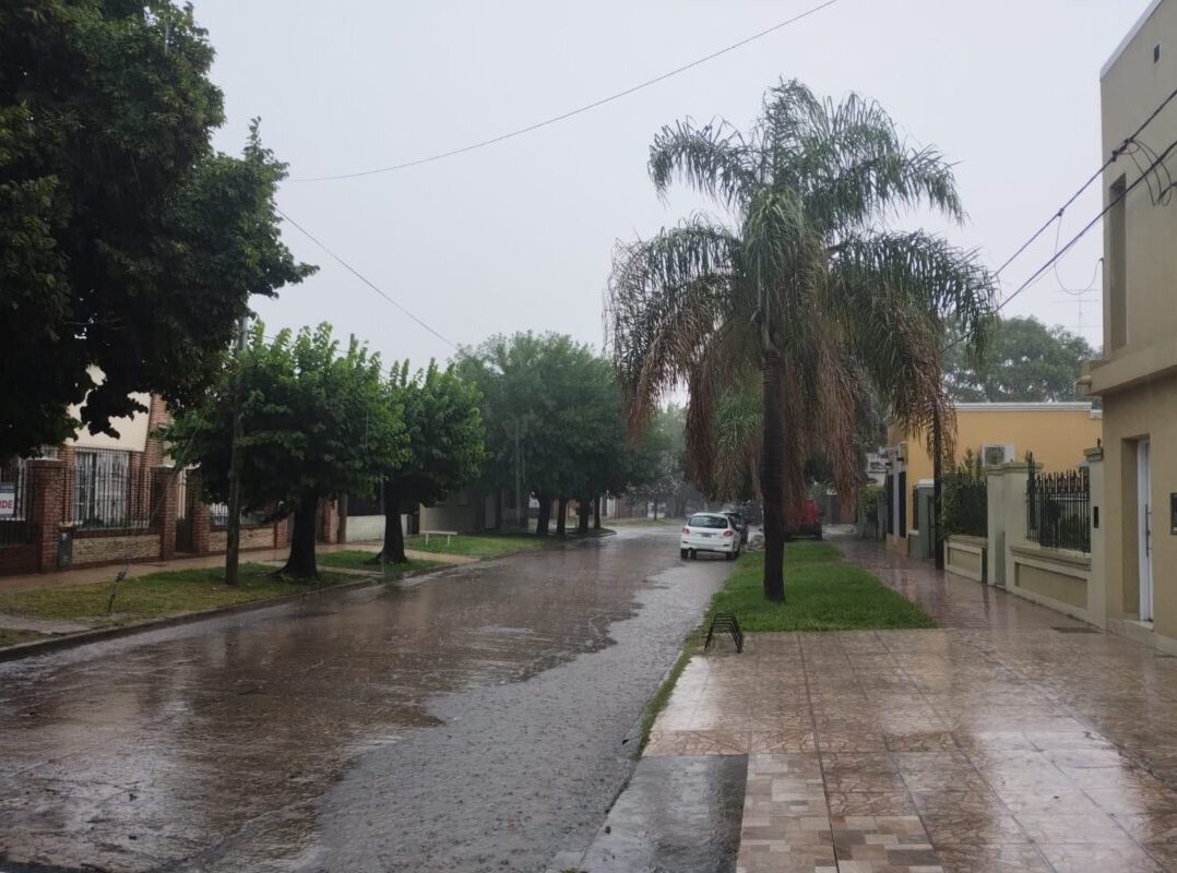 WhatsApp Image 2026-01-02 at 11.05.25