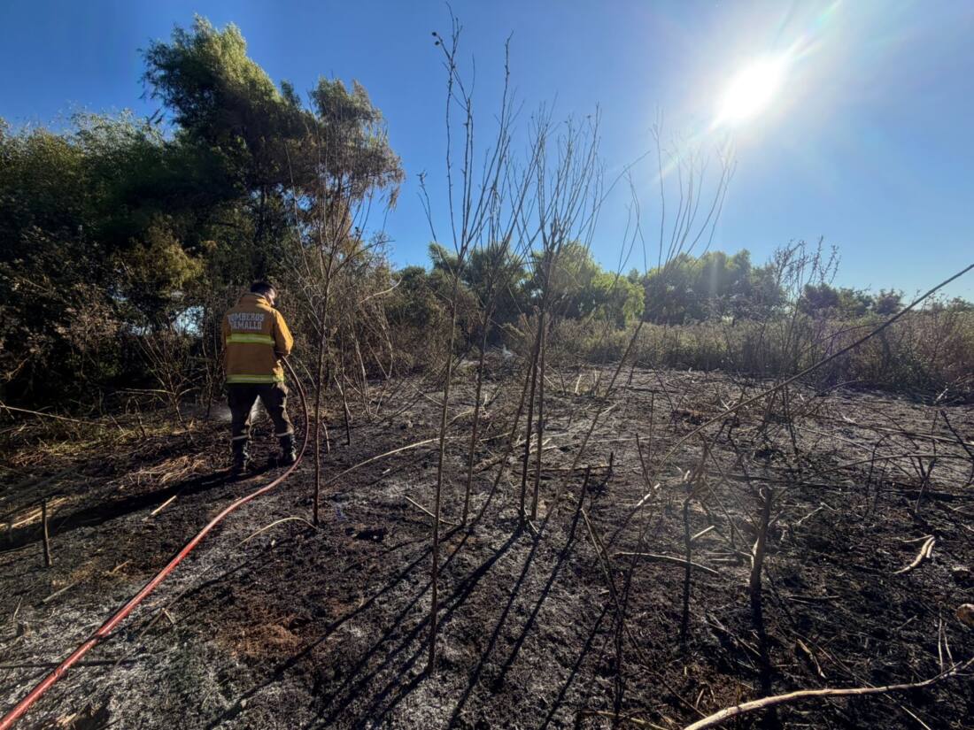 bomberos ramallo