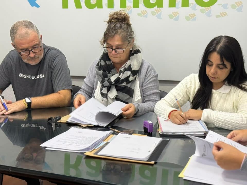 licitaciones perez